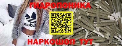 хмурый Гусь-Хрустальный